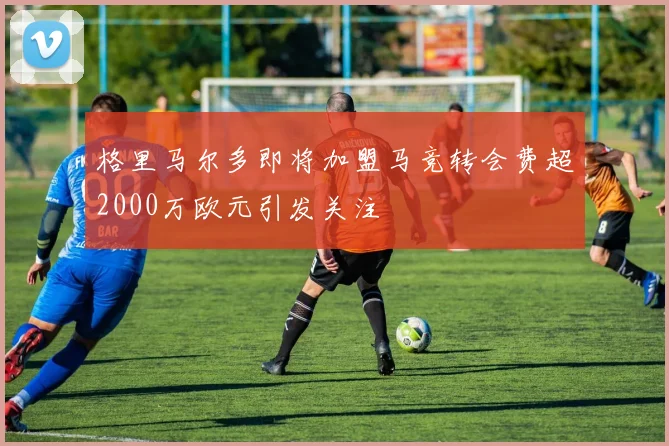 格里马尔多即将加盟马竞转会费超2000万欧元引发关注