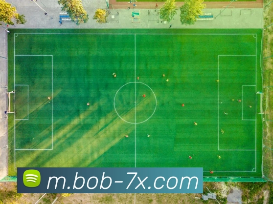 BOB体育平台生态图